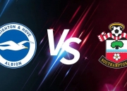 开云体育APP下载-布莱顿客场不敌埃弗顿，遭遇连败的简单介绍