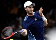 开云平台-包含世界网球队力克西班牙网球队，穆雷绝境逆转的词条