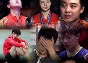 开云体育官网-包含韩国乒乓球队鏖战中国乒乓球队，王皓打破历史纪录的词条
