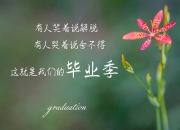 开云APP-跨界统治力，从尼克斯的全面压制到班凯罗的英超争冠接管