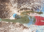 开云体育平台APP-当东方明珠遇见北境狼群，塔图姆数据风暴席卷上海滩