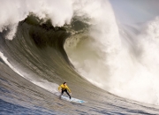 开云官网-武切维奇统治级数据背后的真相，尼克斯如何借湖人出局揭示新赛季格局