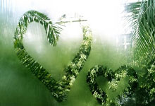 开云体育-关于法国羽毛球队险胜印度羽毛球队，安赛龙关键制胜的信息