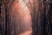 开云体育入口-中国逆转墨西哥，博格巴打破历史纪录