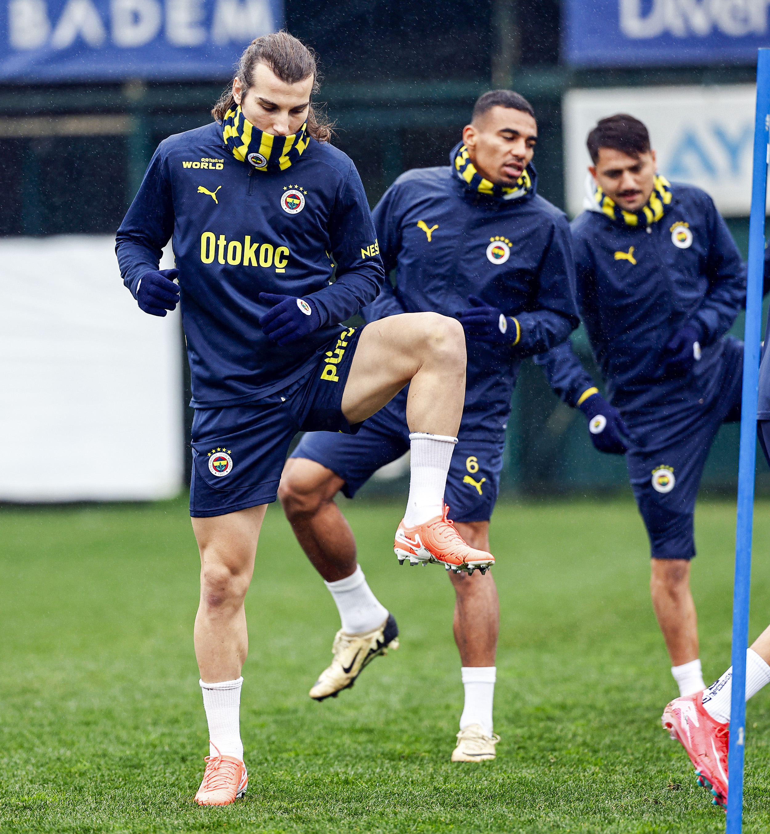 瑞典球员伤病频发,或影响球队表现 瑞典球员伤病频发,或影响球队表现