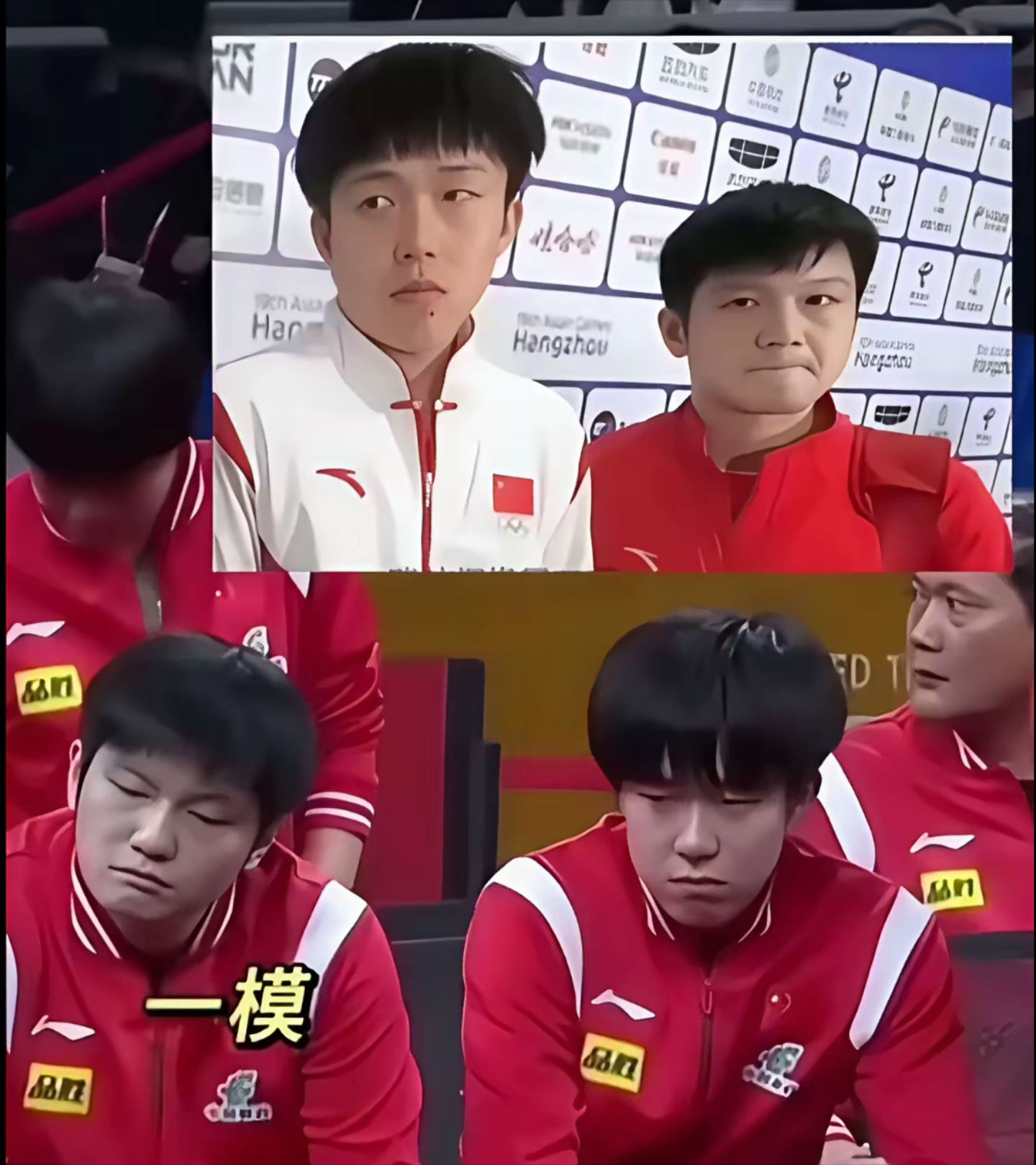 关于中国乒乓球队轻取德国乒乓球队，樊振东制霸全场的信息