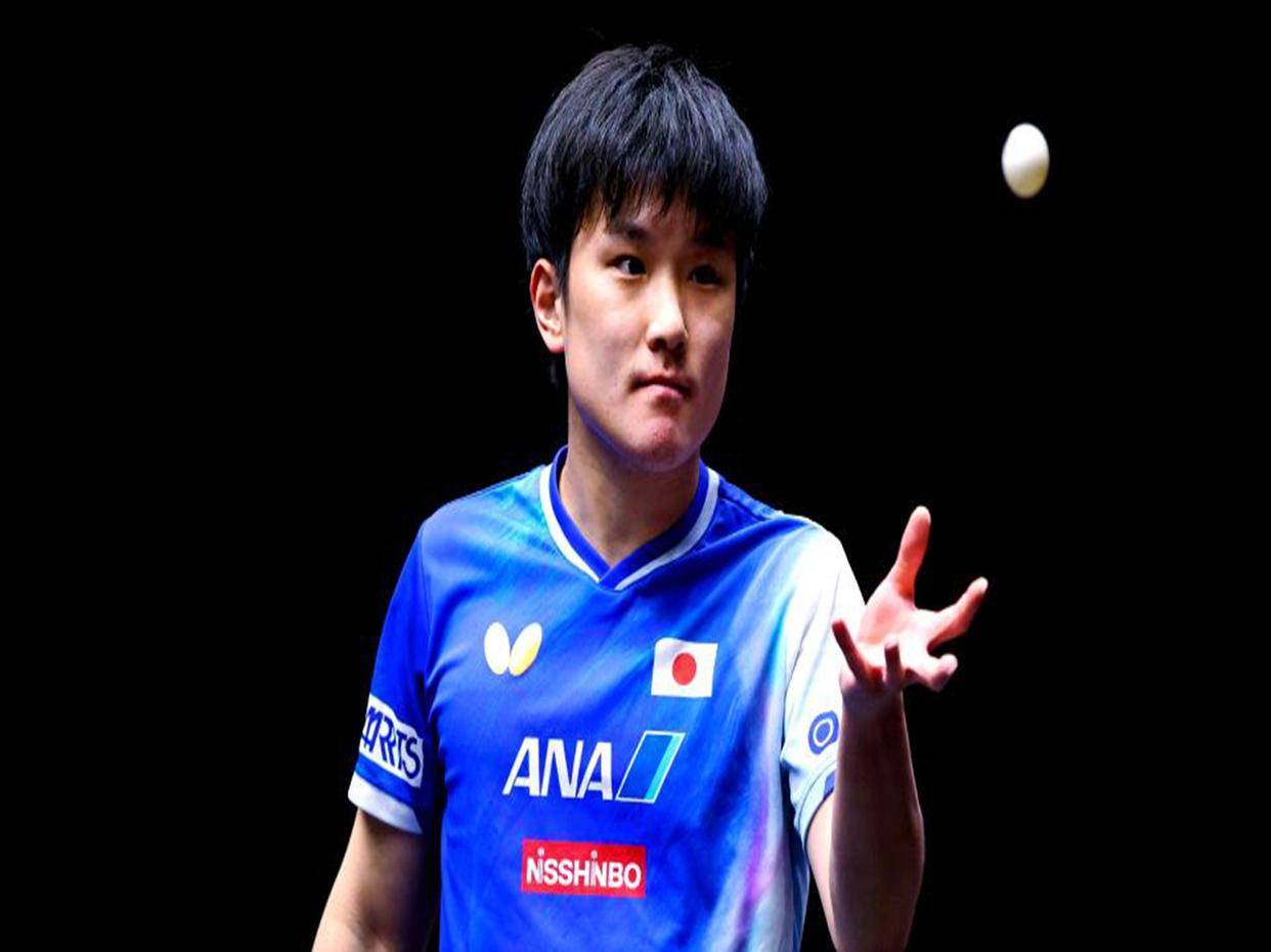 法国队绝杀中国队，张本智和刷新纪录的简单介绍