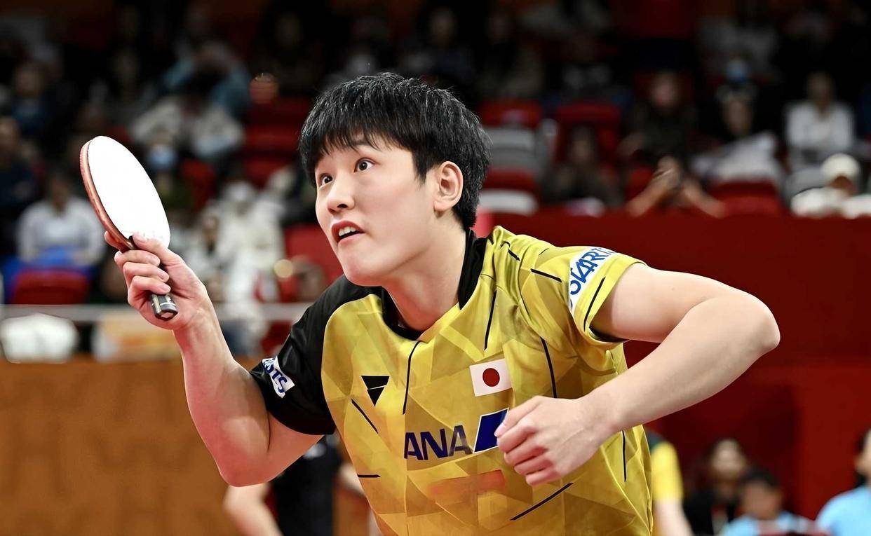 法国队绝杀中国队，张本智和刷新纪录的简单介绍