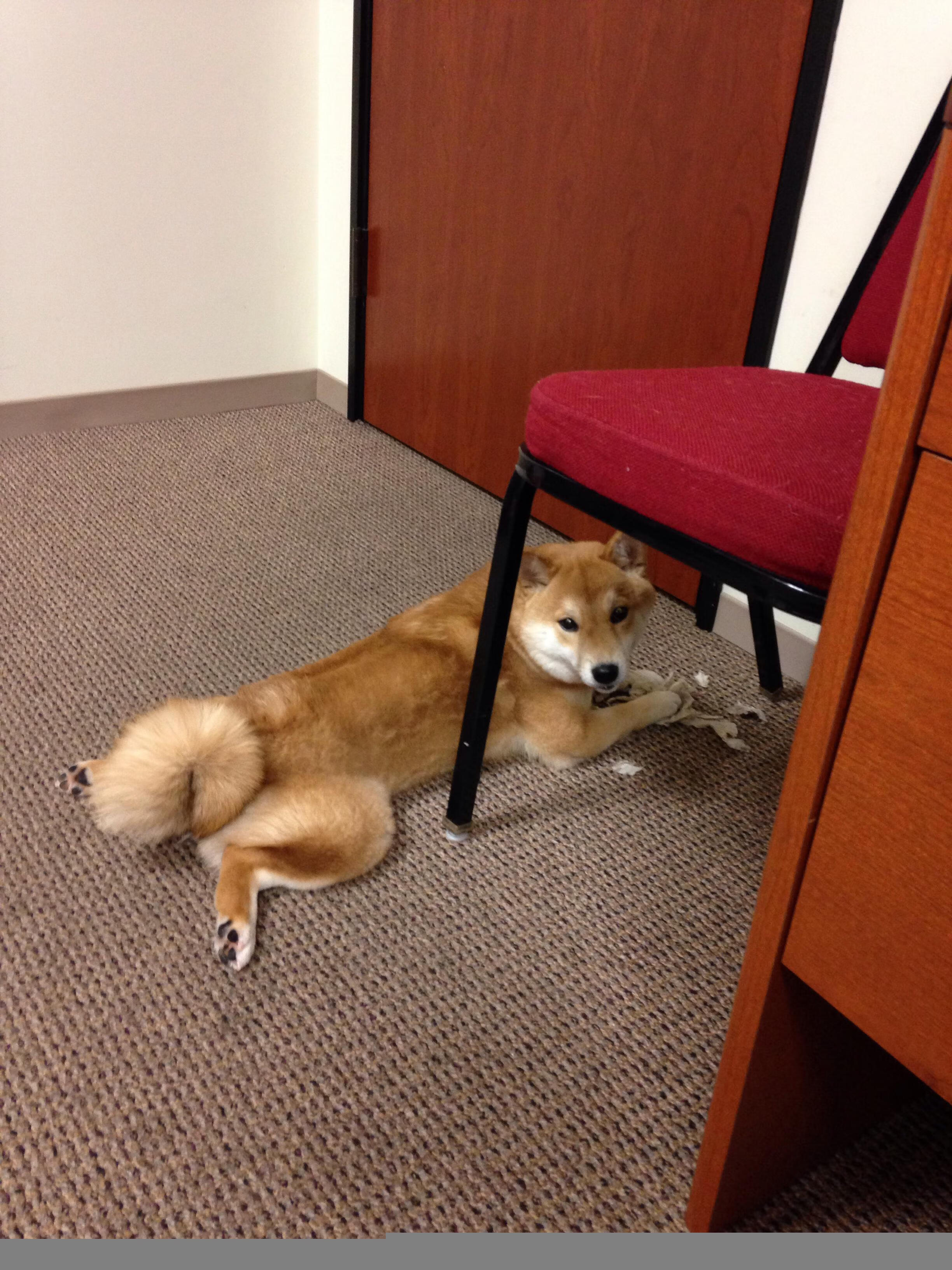 英超争冠焦点战与意甲格局，尤文强压亚特兰大的双重启示