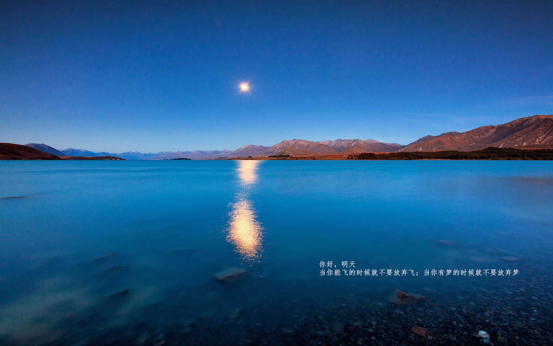 F1新赛季揭幕战与雄鹿速胜广厦，速度与策略的双重奏