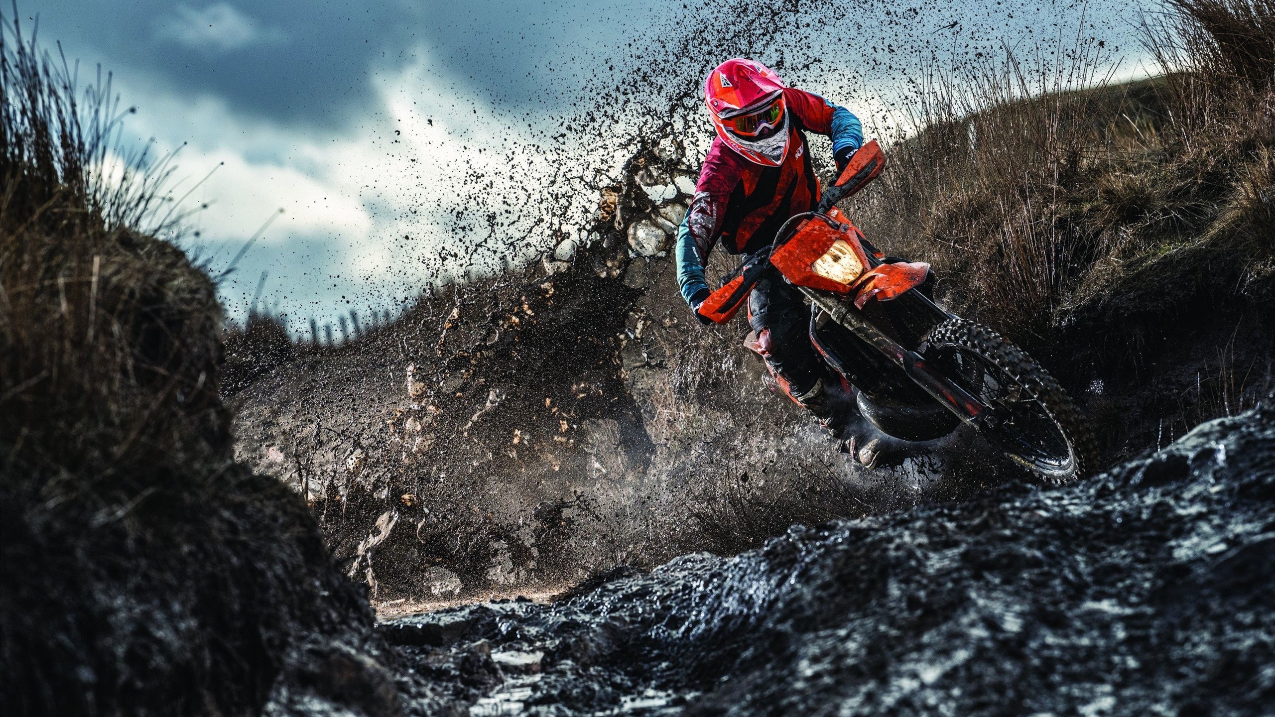 季后赛抢七之夜,奥斯梅恩稳定输出不掉线