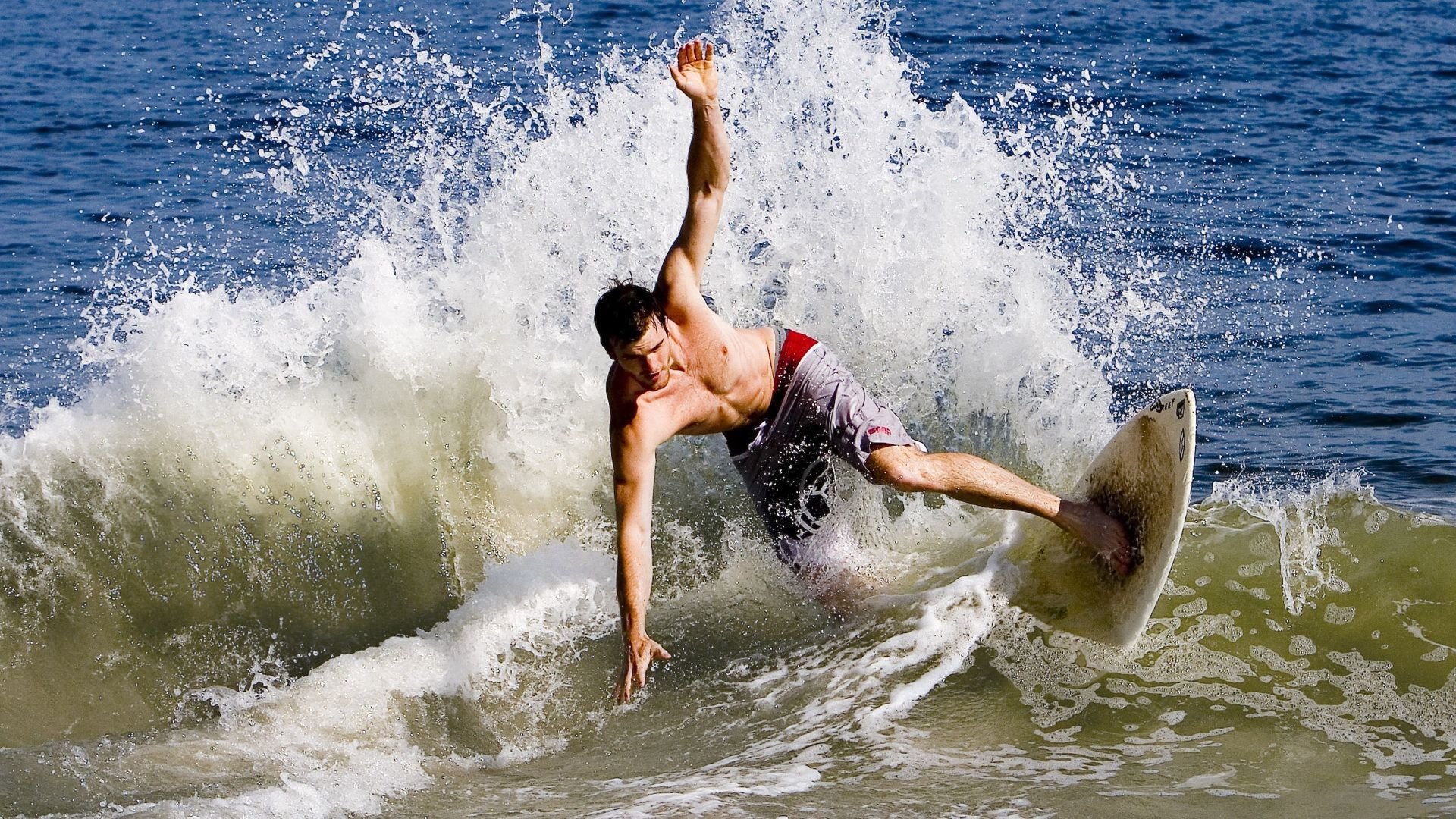 霍勒迪的指挥艺术，上海队如何在对阵鹈鹕中奏响团队篮球的交响乐